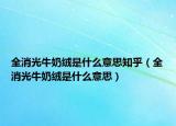 全消光牛奶绒是什么意思知乎（全消光牛奶绒是什么意思）