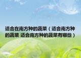 适合在南方种的蔬菜（适合南方种的蔬菜 适合南方种的蔬菜有哪些）