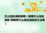 怎么彻底清除蟑螂（蟑螂怎么彻底清除 蟑螂有什么彻底清除的方法呢）
