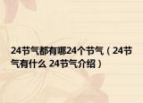 24节气都有哪24个节气（24节气有什么 24节气介绍）