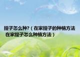 提子怎么种?（在家提子的种植方法 在家提子怎么种植方法）