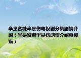 半是蜜糖半是伤电视剧分集剧情介绍（半是蜜糖半是伤剧情介绍电视猫）