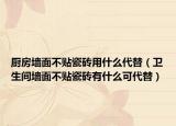 厨房墙面不贴瓷砖用什么代替（卫生间墙面不贴瓷砖有什么可代替）