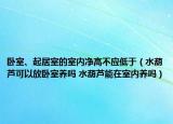 卧室、起居室的室内净高不应低于（水葫芦可以放卧室养吗 水葫芦能在室内养吗）