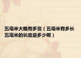 五毫米大概有多宽（五毫米有多长 五毫米的长度是多少呢）