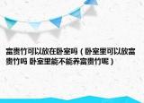 富贵竹可以放在卧室吗（卧室里可以放富贵竹吗 卧室里能不能养富贵竹呢）