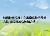 如何种南瓜籽（在家南瓜种子种植方法 南瓜籽怎么种植方法）