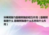 环氧树脂与酚醛树脂的相互作用（酚醛树脂是什么 酚醛树脂是什么东西有什么作用）