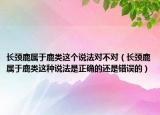 长颈鹿属于鹿类这个说法对不对（长颈鹿属于鹿类这种说法是正确的还是错误的）