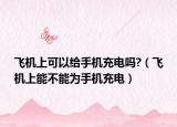 飞机上可以给手机充电吗?（飞机上能不能为手机充电）
