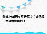 鱼缸水体混浊 终极解决（如何解决鱼缸浑浊问题）