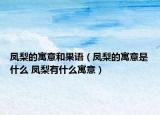 凤梨的寓意和果语（凤梨的寓意是什么 凤梨有什么寓意）