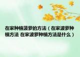 在家种植菠萝的方法（在家波萝种植方法 在家波萝种植方法是什么）