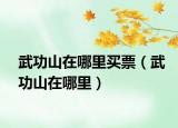 武功山在哪里买票（武功山在哪里）