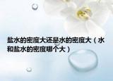 盐水的密度大还是水的密度大（水和盐水的密度哪个大）
