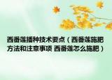 西番莲播种技术要点（西番莲施肥方法和注意事项 西番莲怎么施肥）