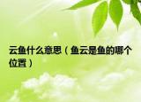 云鱼什么意思（鱼云是鱼的哪个位置）
