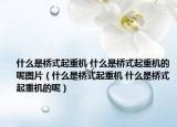 什么是桥式起重机 什么是桥式起重机的呢图片（什么是桥式起重机 什么是桥式起重机的呢）