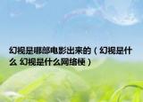 幻视是哪部电影出来的（幻视是什么 幻视是什么网络梗）