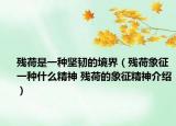 残荷是一种坚韧的境界（残荷象征一种什么精神 残荷的象征精神介绍）