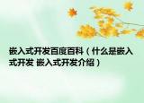 嵌入式开发百度百科（什么是嵌入式开发 嵌入式开发介绍）