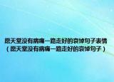 愿天堂没有病痛一路走好的哀悼句子表情（愿天堂没有病痛一路走好的哀悼句子）