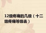 12级疼痛的几级（十二级疼痛等级表）