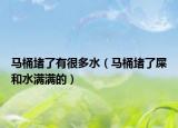 马桶堵了有很多水（马桶堵了屎和水满满的）