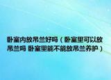 卧室内放吊兰好吗（卧室里可以放吊兰吗 卧室里能不能放吊兰养护）