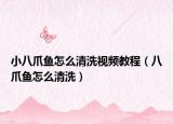 小八爪鱼怎么清洗视频教程（八爪鱼怎么清洗）