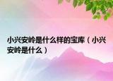小兴安岭是什么样的宝库（小兴安岭是什么）