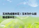 玉米热成爆米花（玉米为什么能爆成爆米花）