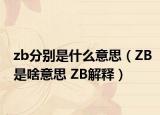 zb分别是什么意思（ZB是啥意思 ZB解释）