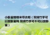小卧室榻榻米带衣柜（双线竹芋可以放卧室吗 双线竹芋可不可以放卧室）