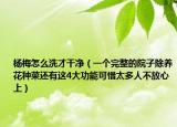 杨梅怎么洗才干净（一个完整的院子除养花种菜还有这4大功能可惜太多人不放心上）