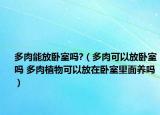 多肉能放卧室吗?（多肉可以放卧室吗 多肉植物可以放在卧室里面养吗）