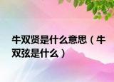 牛双贤是什么意思（牛双弦是什么）