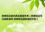 四季桂花室内养还是室外养（四季桂花可以放卧室吗 四季桂花放卧室好不好）
