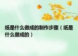 纸是什么做成的制作步骤（纸是什么做成的）