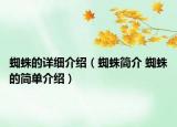 蜘蛛的详细介绍（蜘蛛简介 蜘蛛的简单介绍）