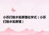 小苏打除水垢原理化学式（小苏打除水垢原理）