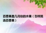 百香果是几月份的水果（怎样挑选百香果）