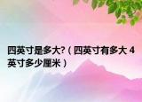 四英寸是多大?（四英寸有多大 4英寸多少厘米）