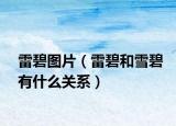 雷碧图片（雷碧和雪碧有什么关系）