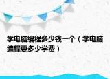 学电脑编程多少钱一个（学电脑编程要多少学费）