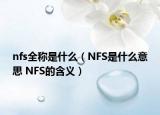nfs全称是什么（NFS是什么意思 NFS的含义）