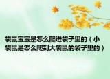 袋鼠宝宝是怎么爬进袋子里的（小袋鼠是怎么爬到大袋鼠的袋子里的）