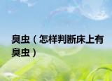 臭虫（怎样判断床上有臭虫）