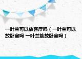 一叶兰可以放客厅吗（一叶兰可以放卧室吗 一叶兰能放卧室吗）