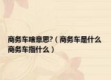 商务车啥意思?（商务车是什么 商务车指什么）